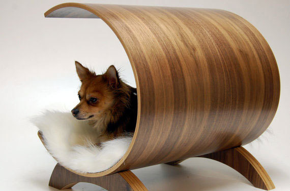 Защита мебели от собак